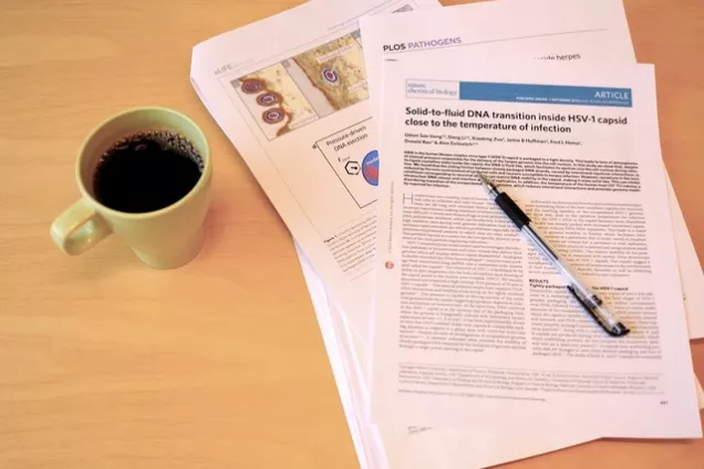 Photo showing a cup of coffee and a stack of published research papers.
