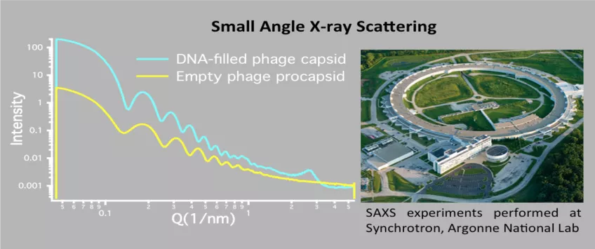 Example of an X-ray/neutron scattering curve and an image of the MAX IV facilities in Lund. 